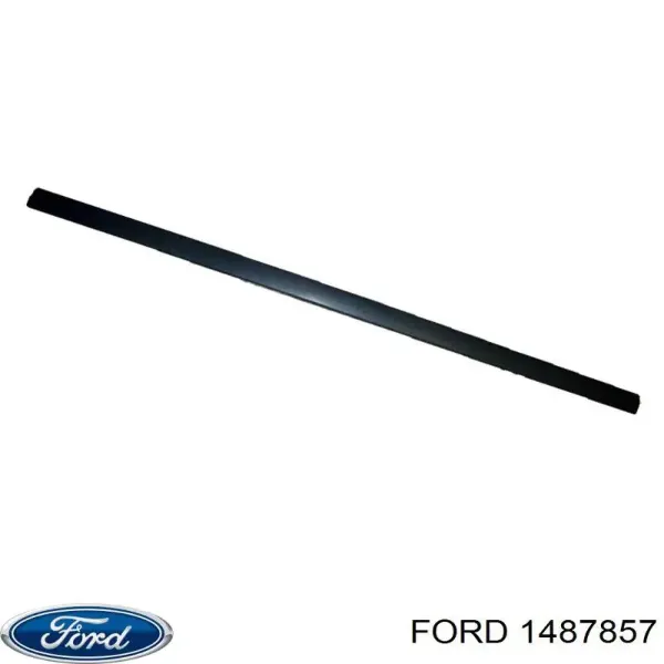 Молдинг передньої лівої двері 1320353 Ford