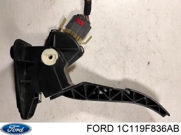  1C119F836AB Ford