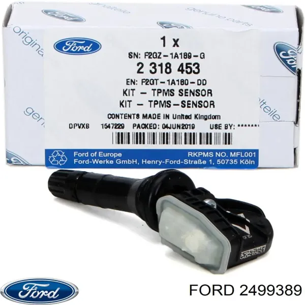 2499389 Ford Фільтр палива
