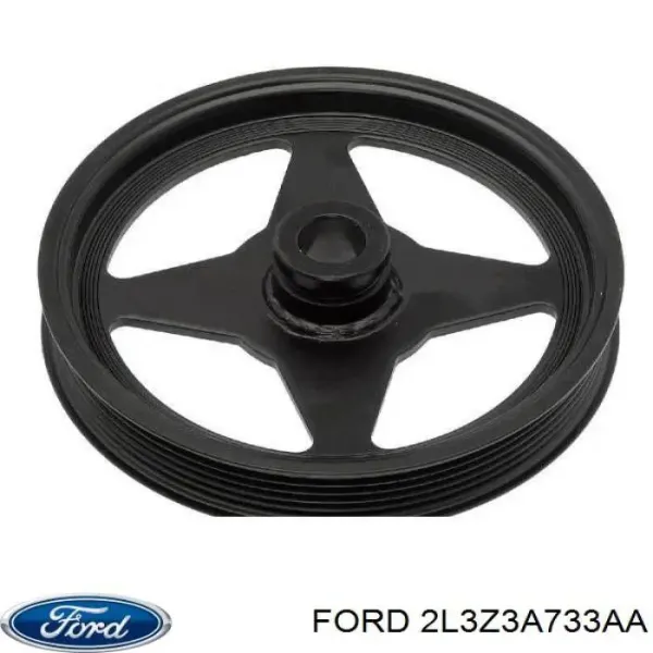 Шків насосу гідропідсилювача керма (ГПК) 2L3Z3A733AA Ford