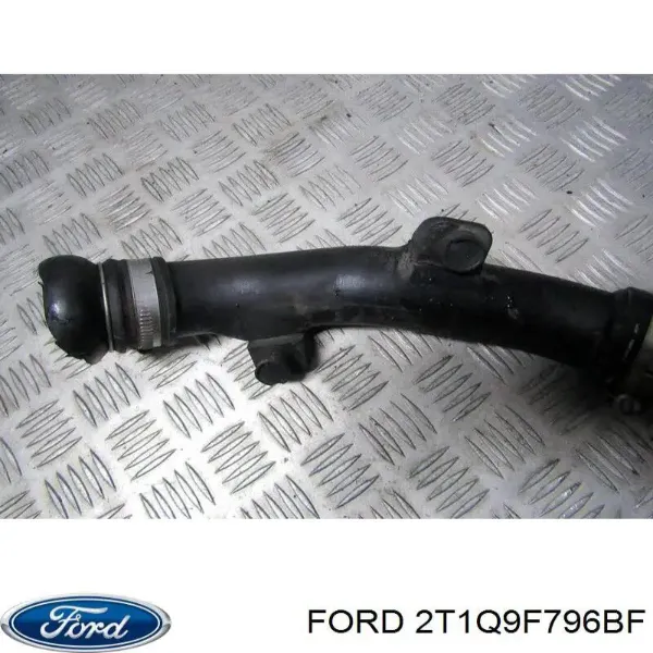  2T1Q9F796BF Ford