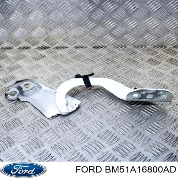 Петля капота, права FO1236153 Various