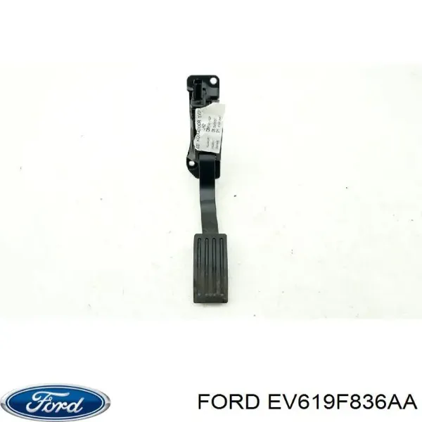 Купити Педаль газу Ford Focus III CB8