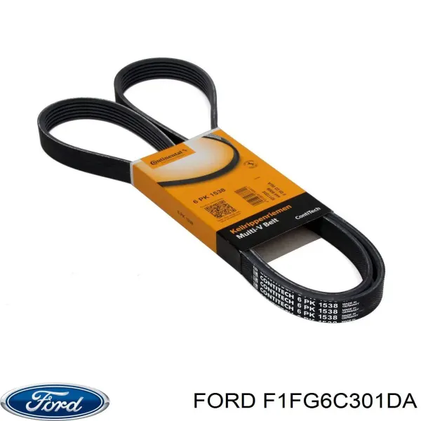 Ремінь генератора F1FG6C301DA Ford