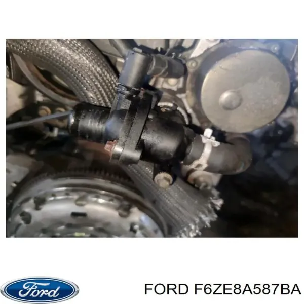  F6ZE8A587BA Ford