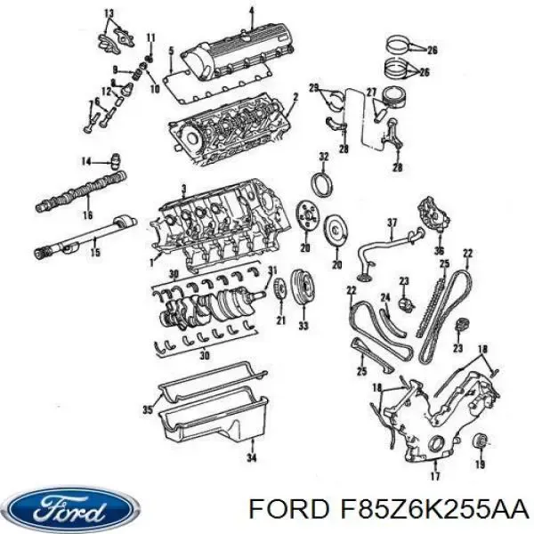 Башмак натягувача ланцюга ГРМ F85Z6K255AA Ford