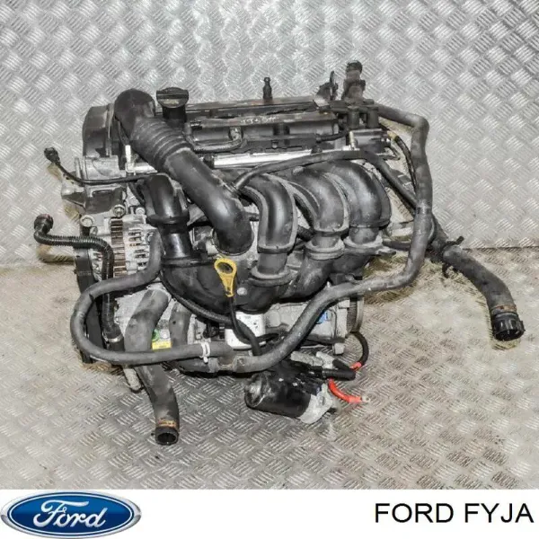Двигун FYJA Ford