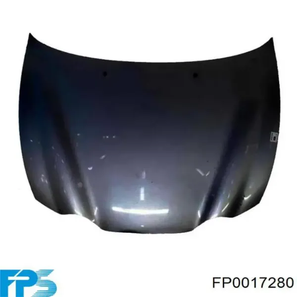 Капот FP0017280 FPS