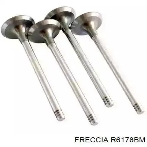 Клапан випускний PREN071A0N AMP/Paradowscy