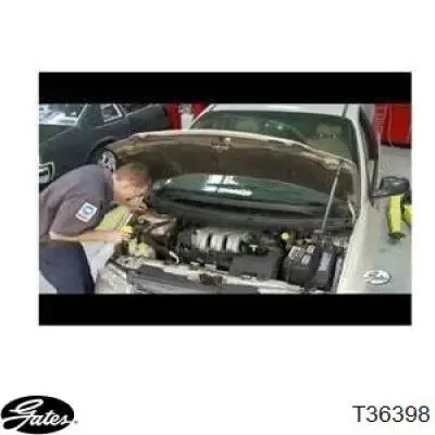Ролик приводного ременя, паразитний CFR500219 Caffaro