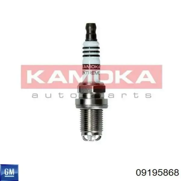 Свічки запалювання 09195868 General Motors