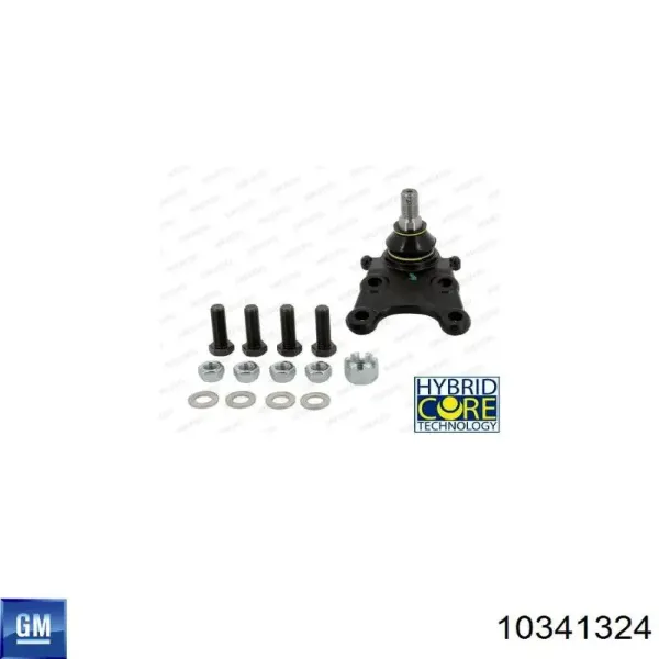  10341324 General Motors