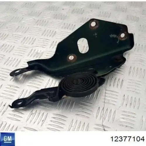 Капот 12377104 General Motors