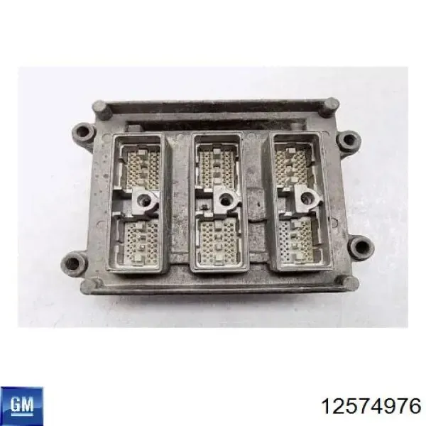  12574976 General Motors