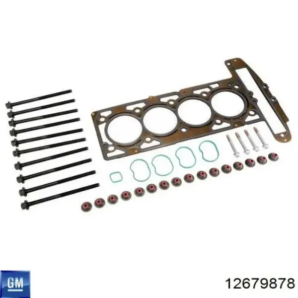 Комплект прокладок 12679878 General Motors