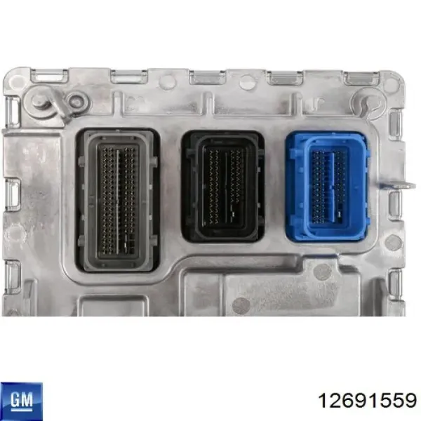 Електронний блок керування двигуном 12719250 General Motors