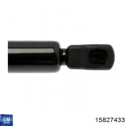 Амортизатор багажника 15827433 General Motors