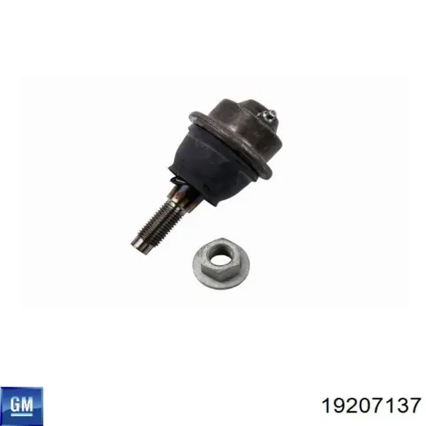 Кульова опора, нижня 19207137 General Motors