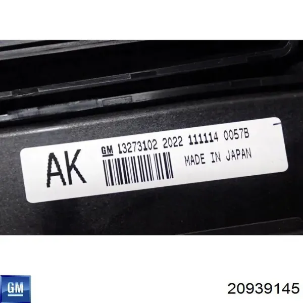  20939145 Opel