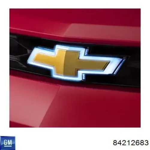 Решітка переднього бампера, центральна PCV99322GA Signeda