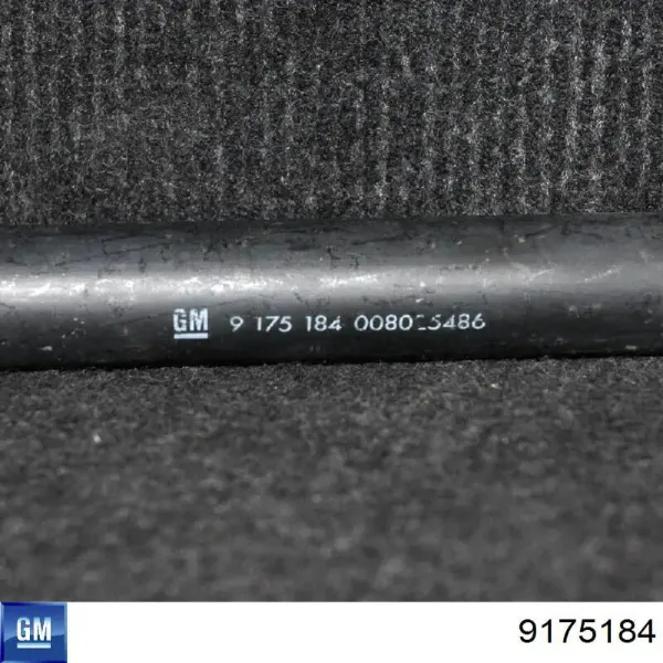  9175184 General Motors