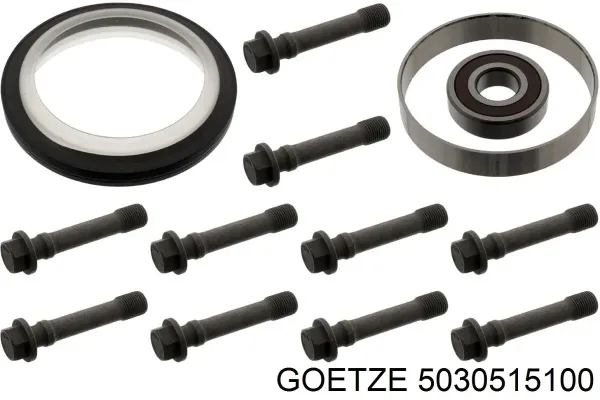 Сальник колінвала задній 5030515100 Goetze