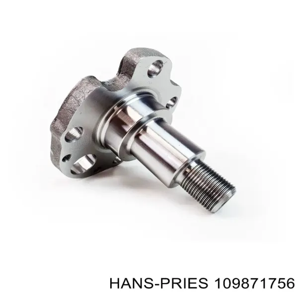 Цапфа - поворотний кулак задній 109871756 Hans Pries (Topran)