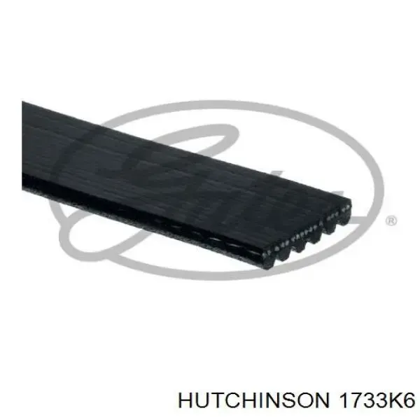 Ремінь генератора 1733K6 Hutchinson