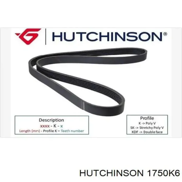 Ремінь генератора 1750K6 Hutchinson