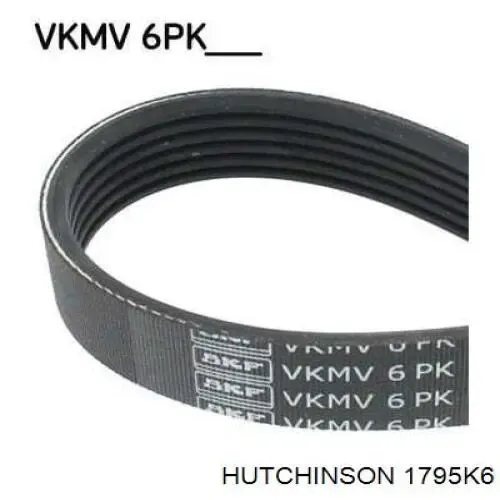 Ремінь генератора 1795K6 Hutchinson