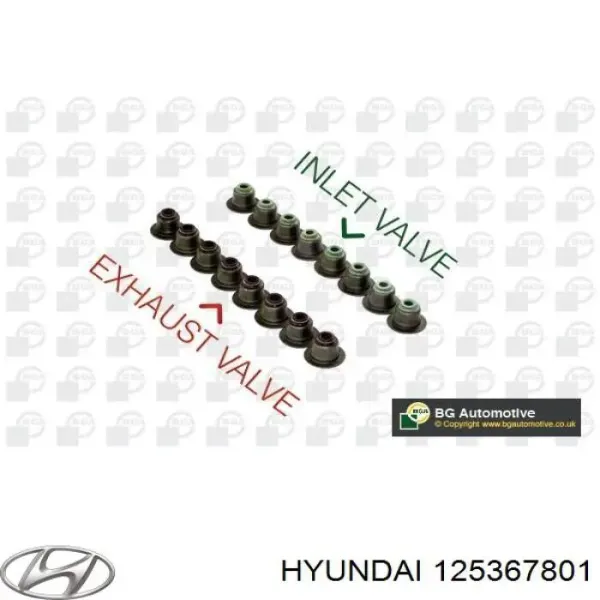 Сальник клапана (маслознімний), впуск/випуск, комплект на мотор 125367801 Hyundai/Kia