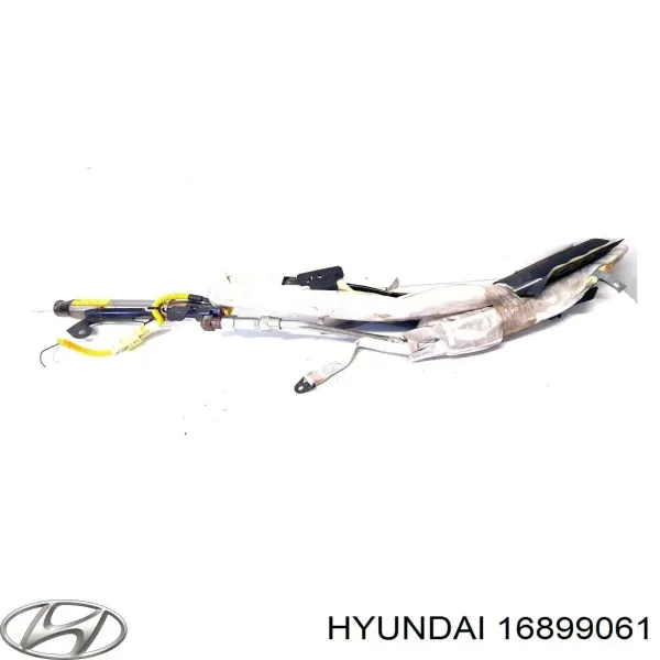  16899061 Hyundai/Kia