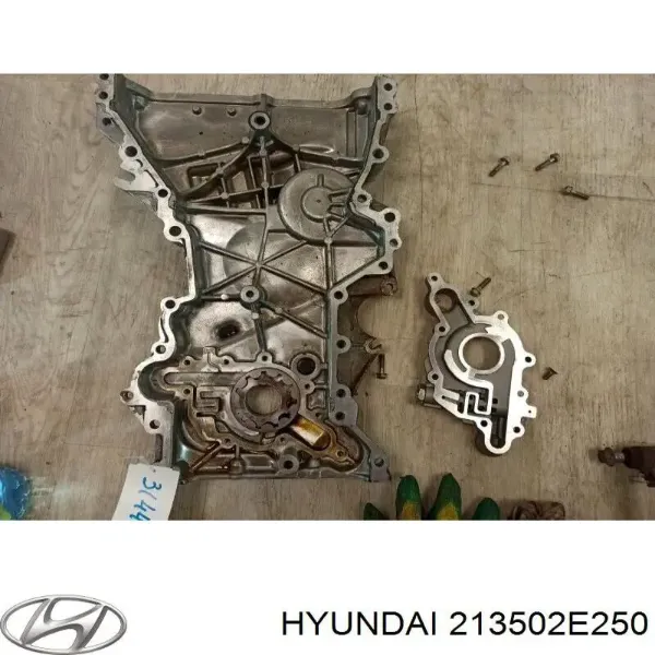  213502E250 Hyundai/Kia