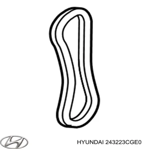Ланцюг маслянного насосу 243223CGE0 Hyundai/Kia