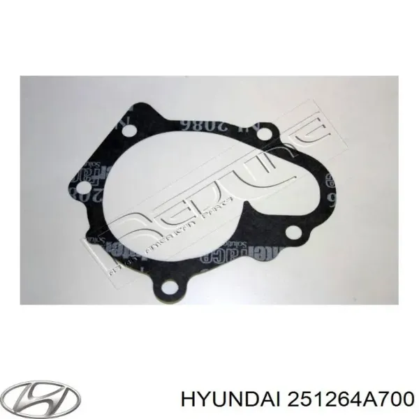 Прокладка водяної помпи 251264A700 Hyundai/Kia
