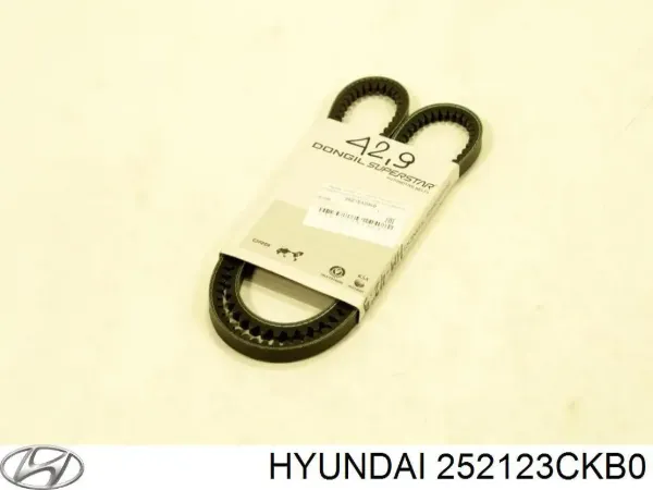 Ремінь генератора 252123CKB0 Hyundai/Kia