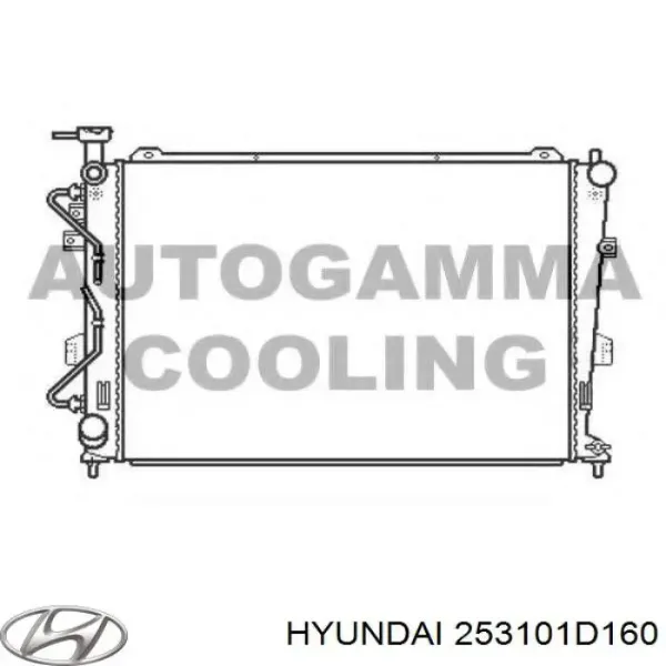 Радіатор 253101D160 Hyundai/Kia