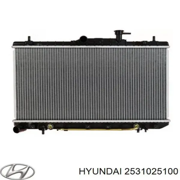 Радіатор 2531025100 Hyundai/Kia