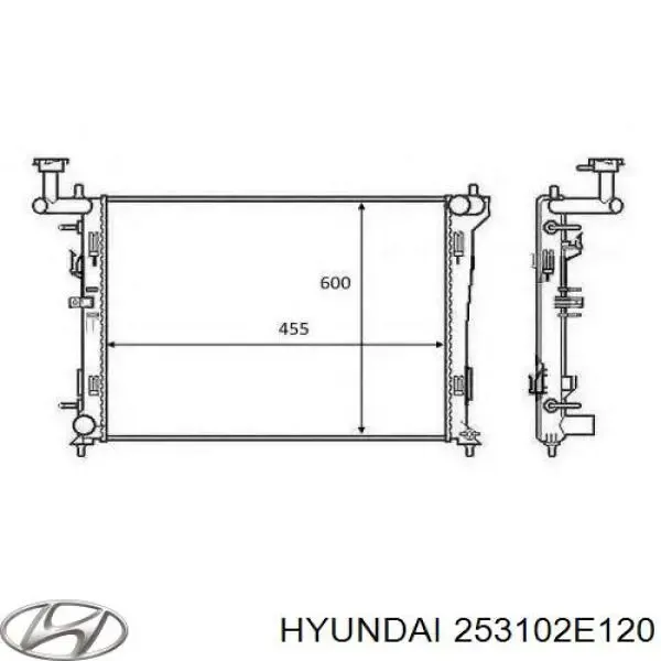 Радіатор 253102E120 Hyundai/Kia