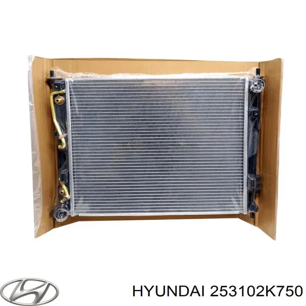 Радіатор 253102K750 Hyundai/Kia