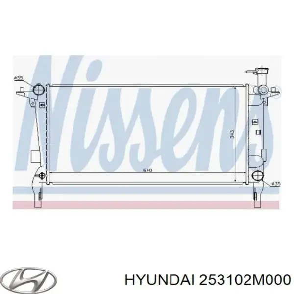 Радіатор 253102M000 Hyundai/Kia