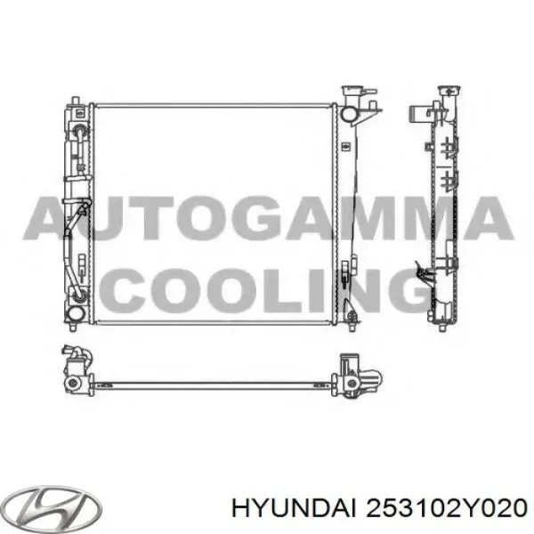 Радіатор 253102Y020 Hyundai/Kia