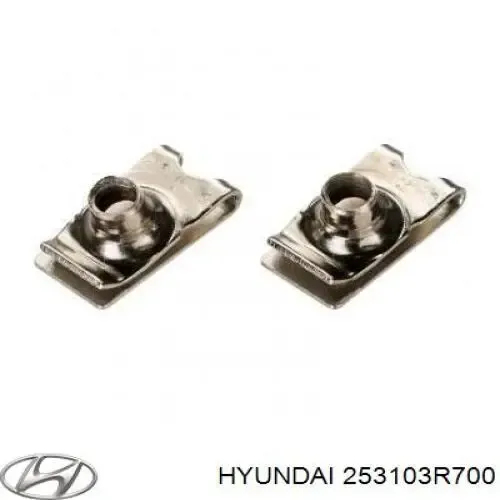 Радіатор 253103R700 Hyundai/Kia