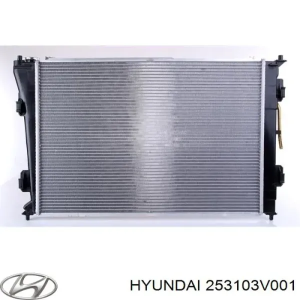 Радіатор 253103V001 Hyundai/Kia