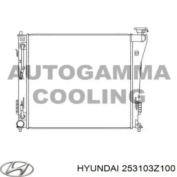 Радіатор 253103Z100 Hyundai/Kia