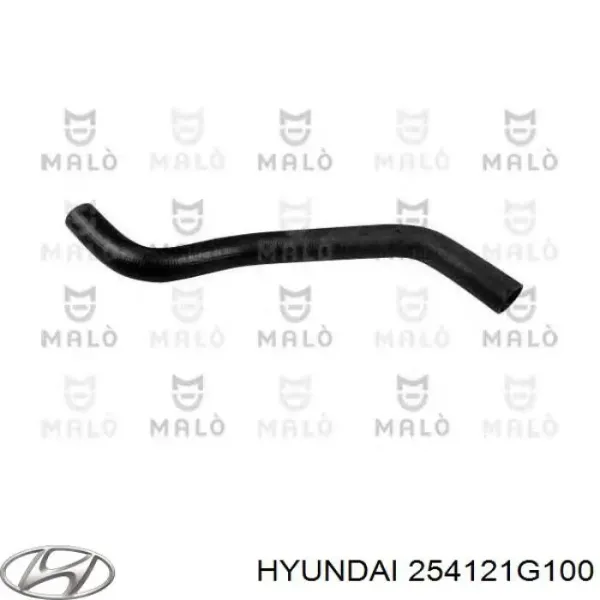 Шланг/патрубок радіатора охолодження, нижній 254121G100 Hyundai/Kia