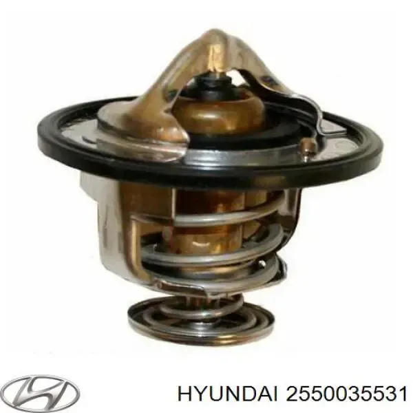 Термостат 2550035531 Hyundai/Kia
