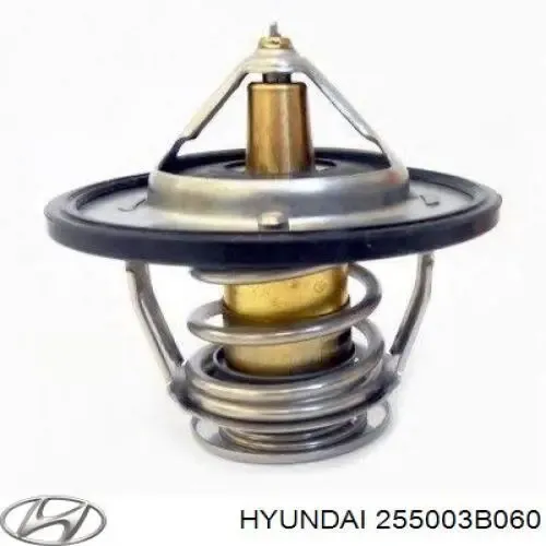 Термостат 255003B060 Hyundai/Kia