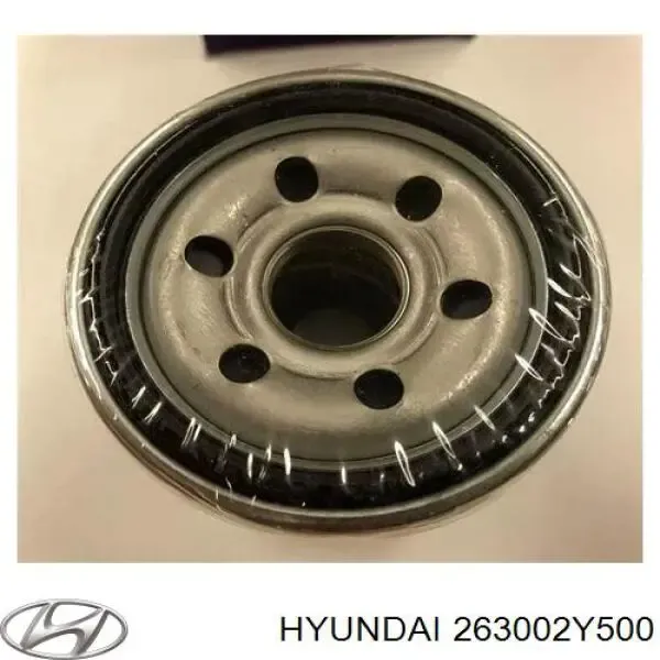 Масляний фільтр 263002Y500 Hyundai/Kia