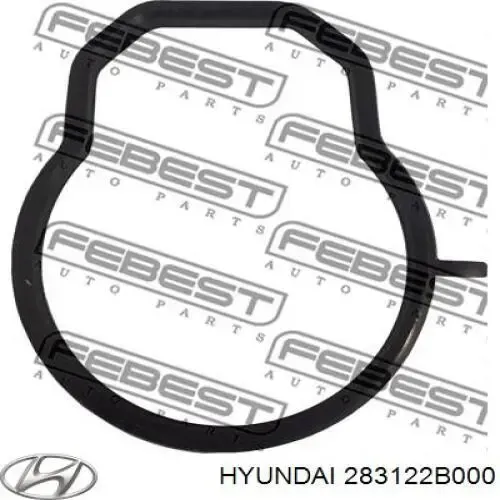 Купити Прокладка дросельної заслінки Hyundai I30  FD